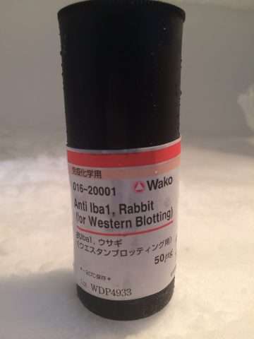 Anti Iba1, Rabbit (for Western Blotting), Wako